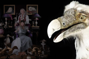 Curiosa Deliciosa. Le Monde de François d&rsquo;Ansembourg.