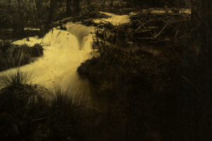 Ardotypes. Ceci est une ardoise.